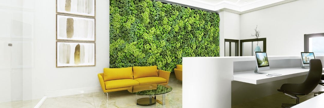 The Advantages of Biophilic Office Design