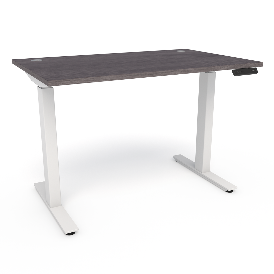 OMT Hilo - T Leg Height Adjustable Desk, White Base - New CLOSEOUT
