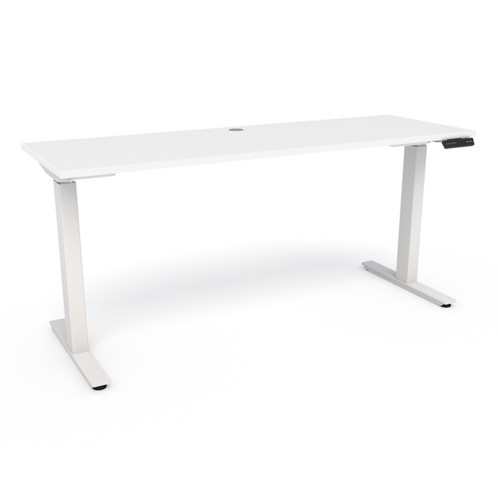 OMT Hilo - T Leg Height Adjustable Desk, White Base - New CLOSEOUT