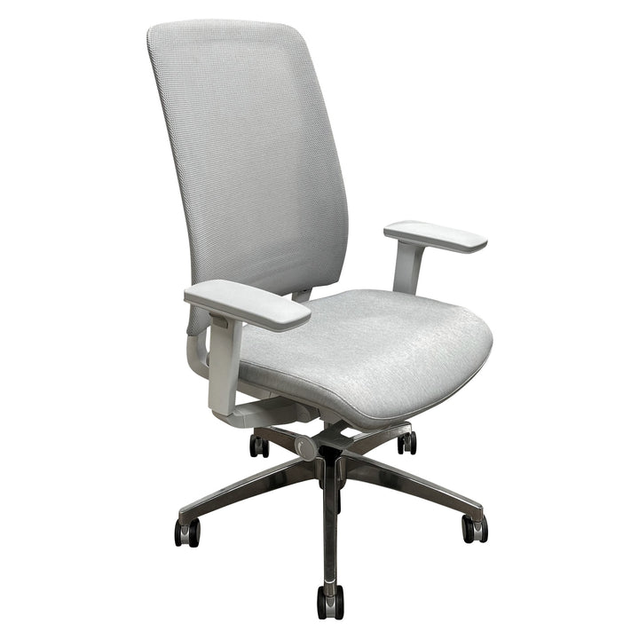 Teknion Around Ergonomic Task Chair, Dove - Preowned